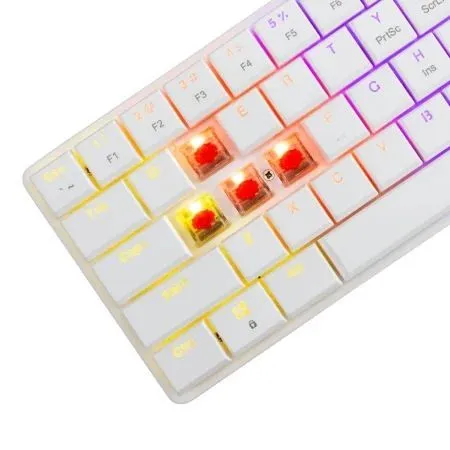 126200 Tastatura White Shark NAGAMAKI 60/Mehanička/Crveni linearni svičevi/RGB/Bela/US