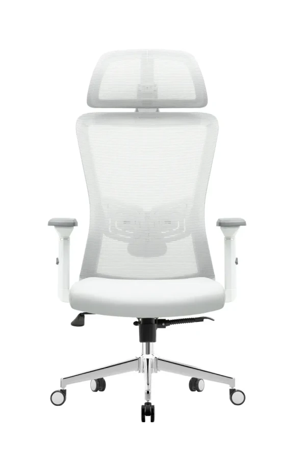 141689 Ergonomska kancelarijska stolica UGD Silver Polare