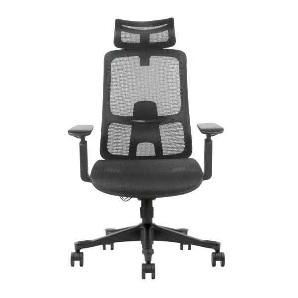 Ergonomska kancelarijska stolica UGD Task Master Mesh